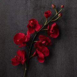 Promo ⭐ Red Tropical Orchid Stem by Ashland® 🌟 -Ashlandty Shop 10230911 22