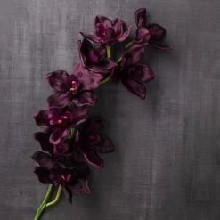 Best deal 🎁 Tropical Cymbidium Spray by Ashland® 🧨 -Ashlandty Shop 10230919 22