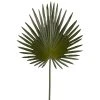 Flash Sale ✔️ 6 Pack: Green Fan Palm Stem by Ashland® ✔️ -Ashlandty Shop 10230923