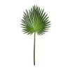 Wholesale ✨ Tropical Fan Palm Stem by Ashland® 💯 -Ashlandty Shop 10230923 21