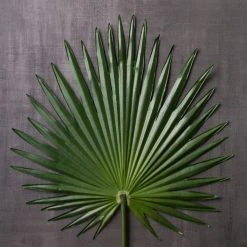 Wholesale ✨ Tropical Fan Palm Stem by Ashland® 💯 -Ashlandty Shop 10230923 22