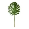 Brand new 🛒 Tropical Monstera Leaf Stem by Ashland® 🎉