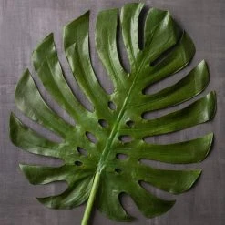 Brand new 🛒 Tropical Monstera Leaf Stem by Ashland® 🎉 -Ashlandty Shop 10230926 22