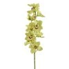 Cheapest 🎉 8 Pack: Pale Green Boat Orchid Stem by Ashland® 💯 2 Cheapest 🎉 8 Pack: Pale Green Boat Orchid Stem by Ashland® 💯 -Ashlandty Shop 10230928