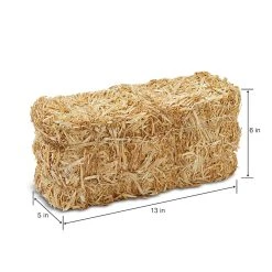 Best Pirce ⌛ Decorative Straw Bale by Ashland® ⌛ -Ashlandty Shop 10234532 14