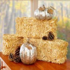 Best Pirce ⌛ Decorative Straw Bale by Ashland® ⌛ -Ashlandty Shop 10234532 17
