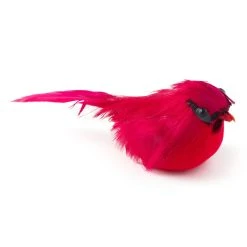 Cheapest ❤️ Small Cardinal Bird by Ashland® 👍 -Ashlandty Shop 10239959 21