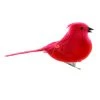 Discount 🥰 24 Pack: Medium Cardinal Bird by Ashland® ⌛ 2 Discount 🥰 24 Pack: Medium Cardinal Bird by Ashland® ⌛ -Ashlandty Shop 10239960 1