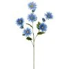 Deals 𧨠Delphinium Daisy Spray by Ashland® β¨ 1 Deals 𧨠Delphinium Daisy Spray by Ashland® β¨ -Ashlandty Shop 10240116