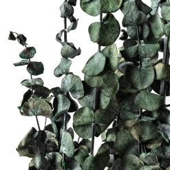 Buy π Ashland® Washed Eucalyptus Bunch, 4 oz. π₯° 7 Buy π Ashland® Washed Eucalyptus Bunch, 4 oz. π₯° -Ashlandty Shop 10259685 20