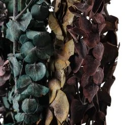 New ⭐ Ashland® Eucalyptus Bunch, 8 oz Tri-Colored 👏 -Ashlandty Shop 10259689 20