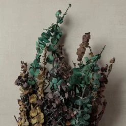 New ⭐ Ashland® Eucalyptus Bunch, 8 oz Tri-Colored 👏 -Ashlandty Shop 10259689 25