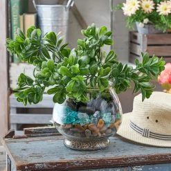 Outlet 🥰 Ashland® Terrarium 💯 -Ashlandty Shop 10259799 11