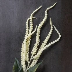 Budget ❤️ Cream Amaranthus Stem by Ashland® 🛒 -Ashlandty Shop 10262965 22