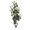 Discount 😉 12 Pack: Green Silk Ivy Spray by Ashland® ⭐ -Ashlandty Shop 10262975 1