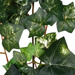 Discount 😉 12 Pack: Green Silk Ivy Spray by Ashland® ⭐ -Ashlandty Shop 10262975 2 1