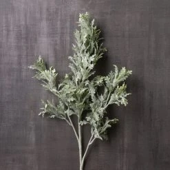 Cheap 👏 Dusty Miller Stem by Ashland® 💯 -Ashlandty Shop 10262981 22