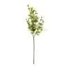 New π Sinojackia Leaf Stem by Ashland® β¨ 2 New π Sinojackia Leaf Stem by Ashland® β¨ -Ashlandty Shop 10263000 21