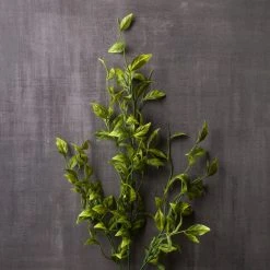 New 🎉 Sinojackia Leaf Stem by Ashland® ✨ -Ashlandty Shop 10263000 22