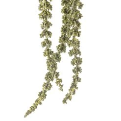New 😉 Green Amaranthus Stem by Ashland® 🎉 -Ashlandty Shop 10263015 20