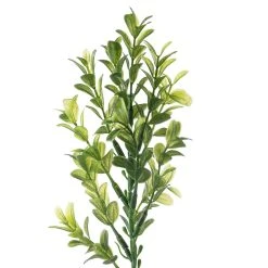 Cheap 😍 Sweet Grass Stem by Ashland® 🎉 -Ashlandty Shop 10263020 20