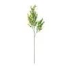 Cheap π Sweet Grass Stem by Ashland® π 1 Cheap π Sweet Grass Stem by Ashland® π -Ashlandty Shop 10263020 21
