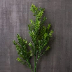 Cheap 😍 Sweet Grass Stem by Ashland® 🎉 -Ashlandty Shop 10263020 22