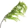 Best Pirce ⌛ 12 Pack: Green Weeping Fern Spray by Ashland® 🎁 2 Best Pirce ⌛ 12 Pack: Green Weeping Fern Spray by Ashland® 🎁 -Ashlandty Shop 10263117