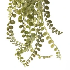 Wholesale π Weeping Fern Stem by Ashland® π 7 Wholesale π Weeping Fern Stem by Ashland® π -Ashlandty Shop 10263117 20