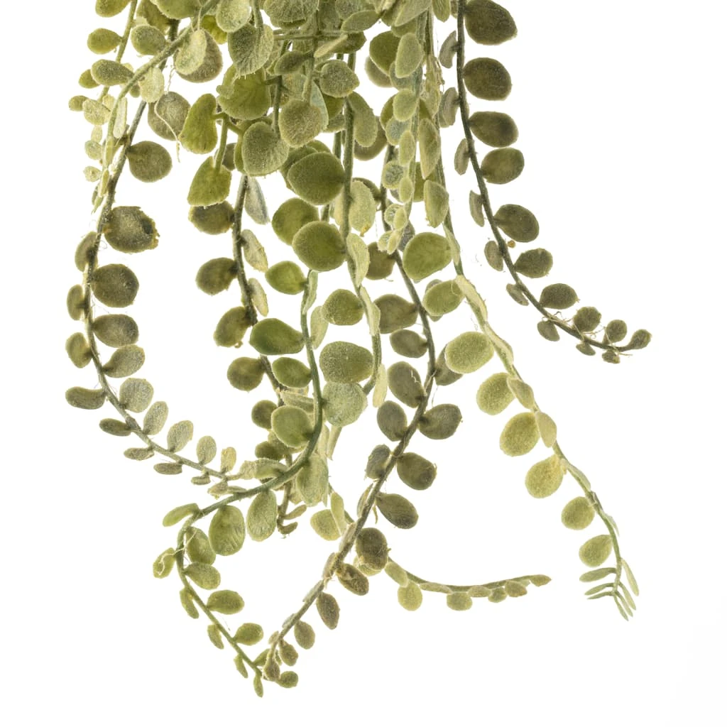 Wholesale π Weeping Fern Stem by Ashland® π 5 Wholesale π Weeping Fern Stem by Ashland® π - Image 3