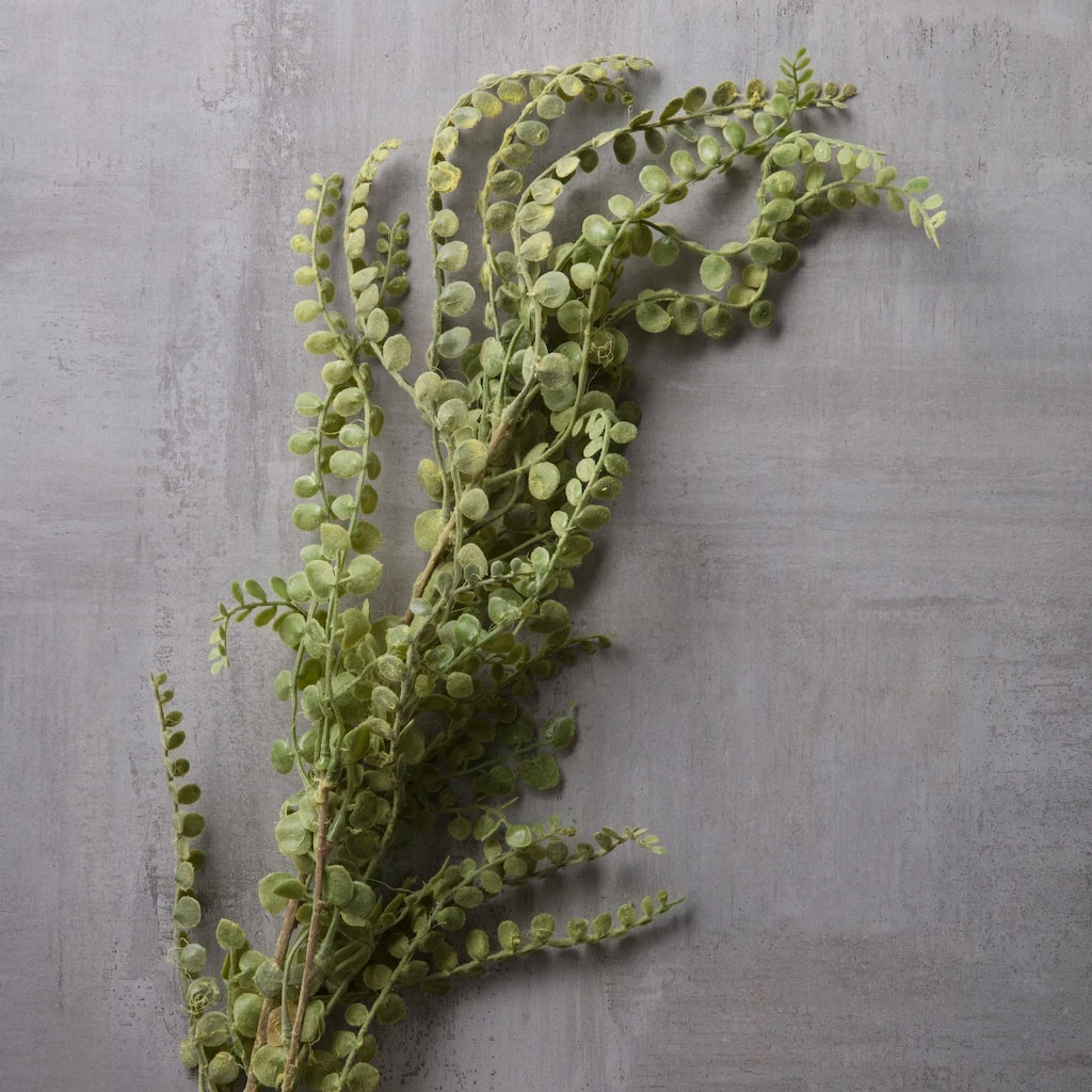 Wholesale π Weeping Fern Stem by Ashland® π 4 Wholesale π Weeping Fern Stem by Ashland® π - Image 2