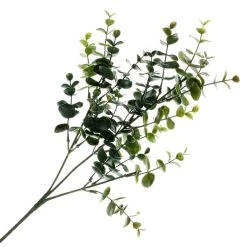 Cheap ❤️ Eucalyptus Stem by Ashland® 😉 -Ashlandty Shop 10263719