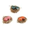 Best Sale ❤️ Assorted Bird in Nest by Ashland® ⌛ -Ashlandty Shop 10276375 1