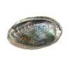 Wholesale ⭐ Blue Abalone Shell by Ashland® 💯 -Ashlandty Shop 10289973
