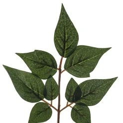 Brand new ❤️ China Dollar Spray Floral Essentials by Ashland® 🤩 -Ashlandty Shop 10292511 20