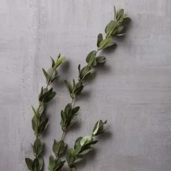 Flash Sale 🥰 Huckleberry Leaf Spray by Ashland® ⭐ -Ashlandty Shop 10292555 22