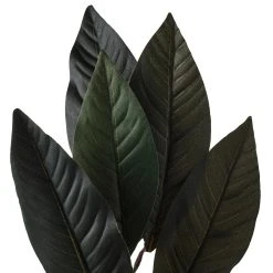 Discount ❤️ Green Magnolia Leaf Spray Floral Essentials Collection by Ashland® 🛒 -Ashlandty Shop 10292556 20