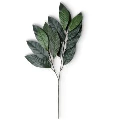 Discount ❤️ Green Magnolia Leaf Spray Floral Essentials Collection by Ashland® 🛒 -Ashlandty Shop 10292556 21