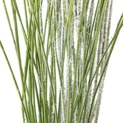 Coupon ✨ Assorted Branch Twig by Ashland® 😉 -Ashlandty Shop 10296166 20