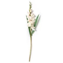 Best Sale 👍 White Gladiolus Stem by Ashland® 👍 -Ashlandty Shop 10297020 21
