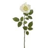 Best reviews of ⭐ 16 Pack: Ivory Princess Rose Stem by Ashland® 😍 -Ashlandty Shop 10297096