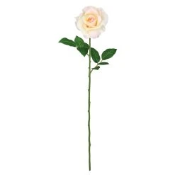 Best reviews of ⌛ 12 Pack: White Princess Rose Stem by Ashland® 🌟
