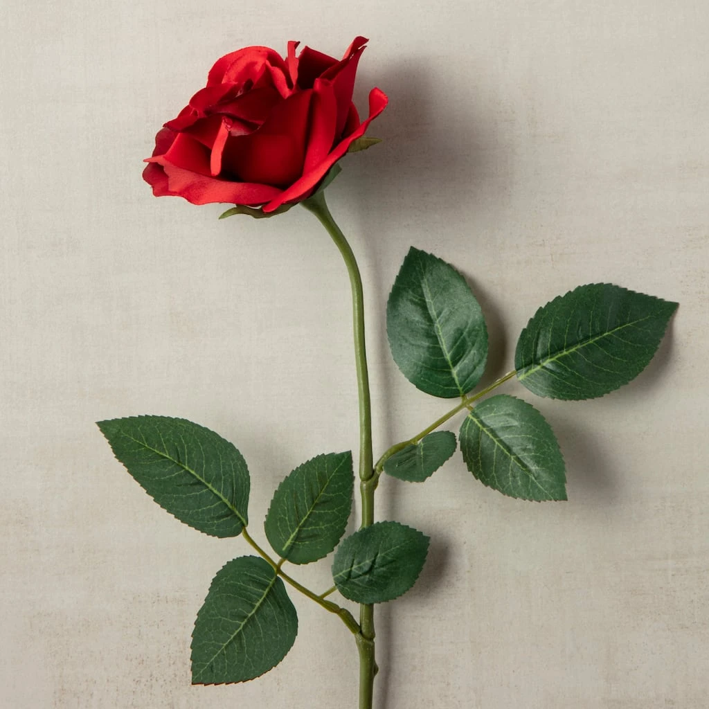 Cheap ⭐ Princess Rose by Ashland® ⌛ 5 Cheap ⭐ Princess Rose by Ashland® ⌛ - Image 3