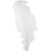 Budget 💯 12 Pack: Ivory Ostrich Feather by Ashland® 🌟 -Ashlandty Shop 10299982 1