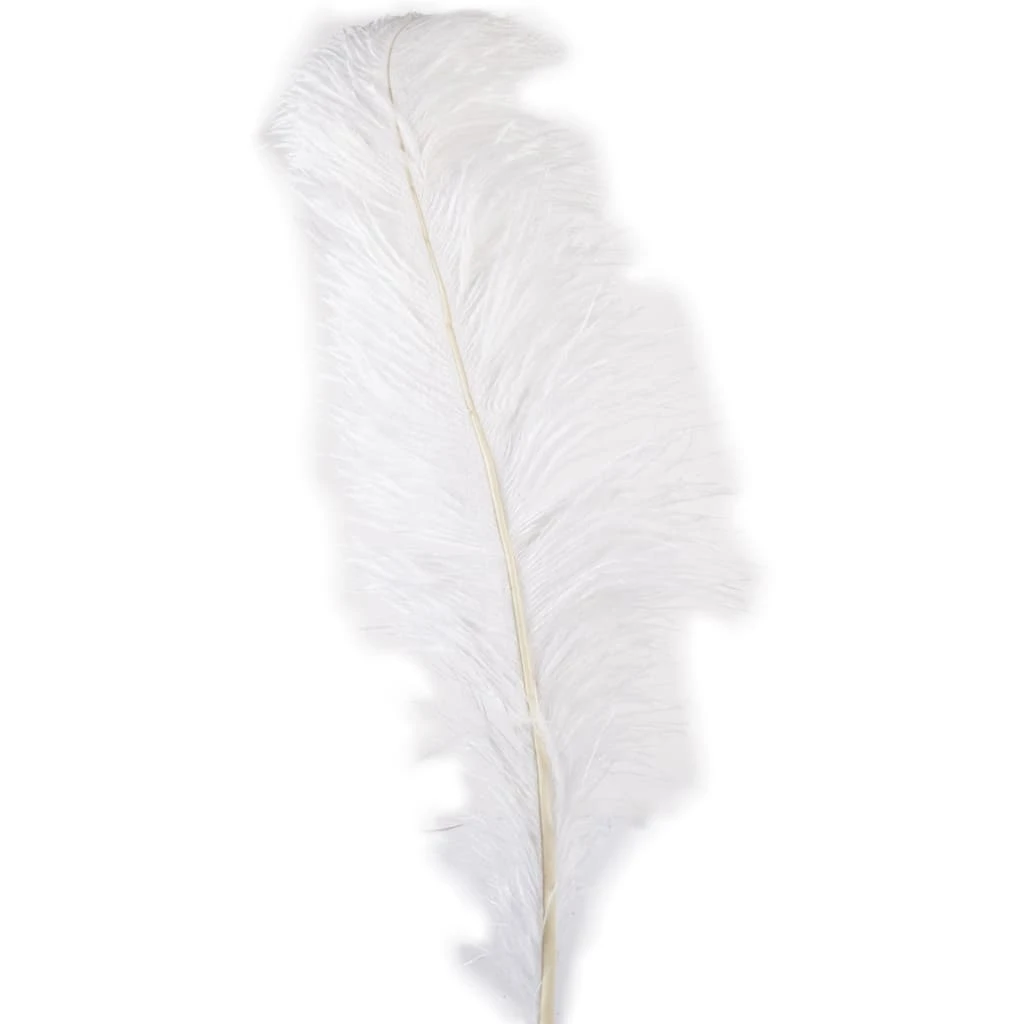 Budget π― 12 Pack: Ivory Ostrich Feather by Ashland® π 3 Budget π― 12 Pack: Ivory Ostrich Feather by Ashland® π