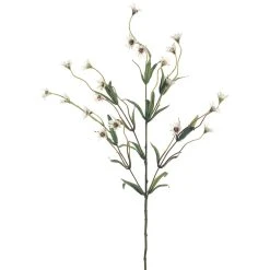 Top 10 ✔️ Wild Daisy Spray by Ashland® 😍