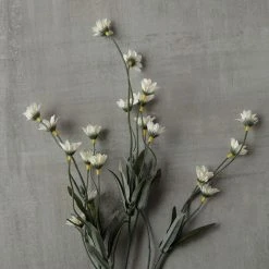 Top 10 ✔️ Wild Daisy Spray by Ashland® 😍 -Ashlandty Shop 10302183 25