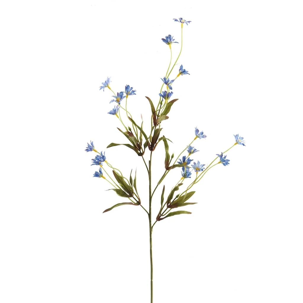 Budget ✔️ 24 Pack: Wild Daisy Spray by Ashland® ⌛ 3 Budget ✔️ 24 Pack: Wild Daisy Spray by Ashland® ⌛