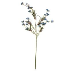 Coupon 🥰 Wild Daisy Spray by Ashland® 😍 -Ashlandty Shop 10302184 21