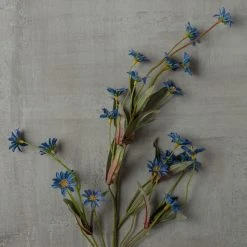 Coupon 🥰 Wild Daisy Spray by Ashland® 😍 -Ashlandty Shop 10302184 25